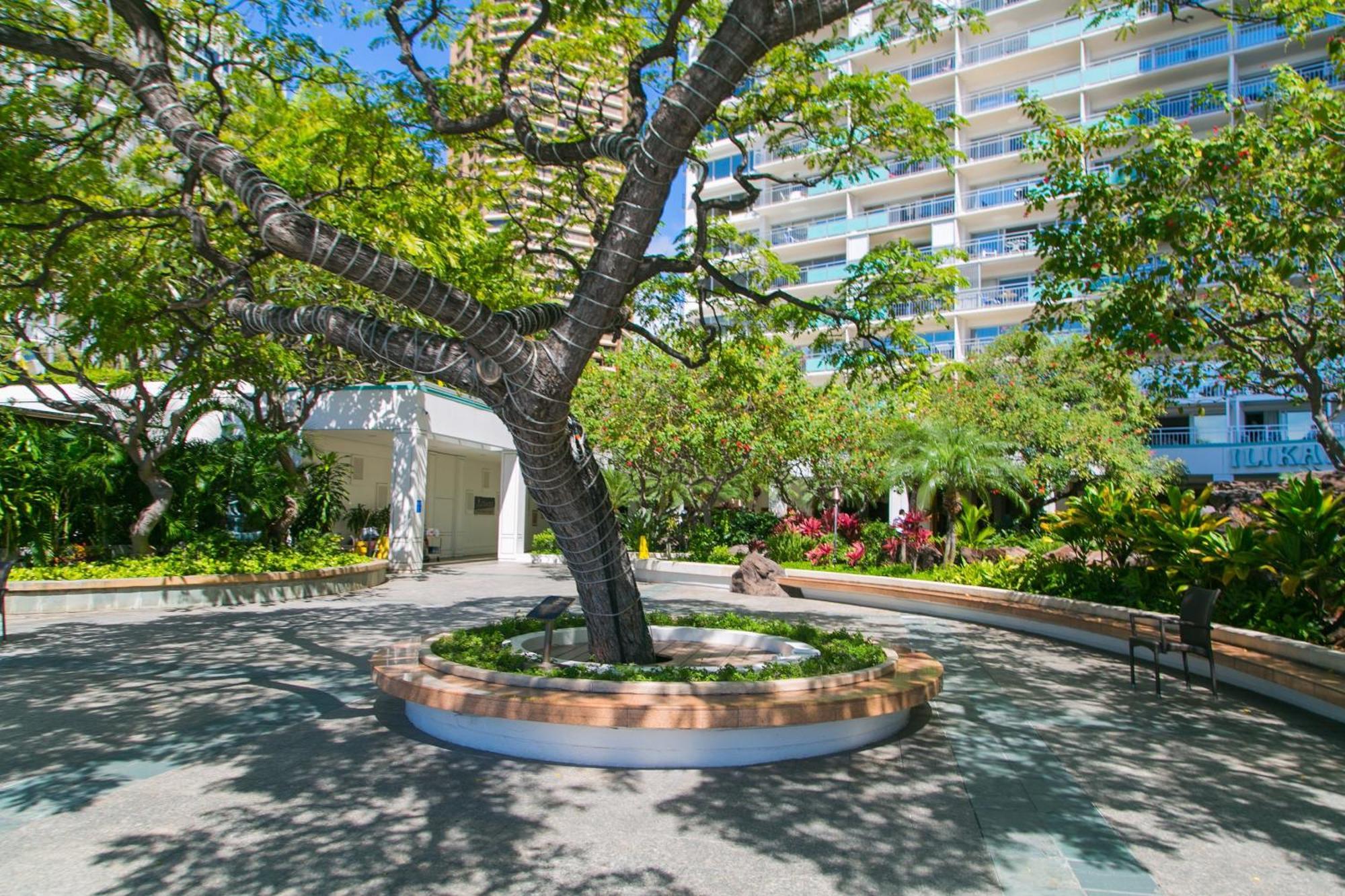 Ferienwohnung Ilikai Tower 735 Yacht Harbor View 1BR Honolulu Exterior foto